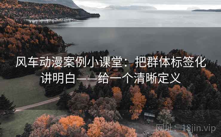 风车动漫案例小课堂：把群体标签化讲明白——给一个清晰定义